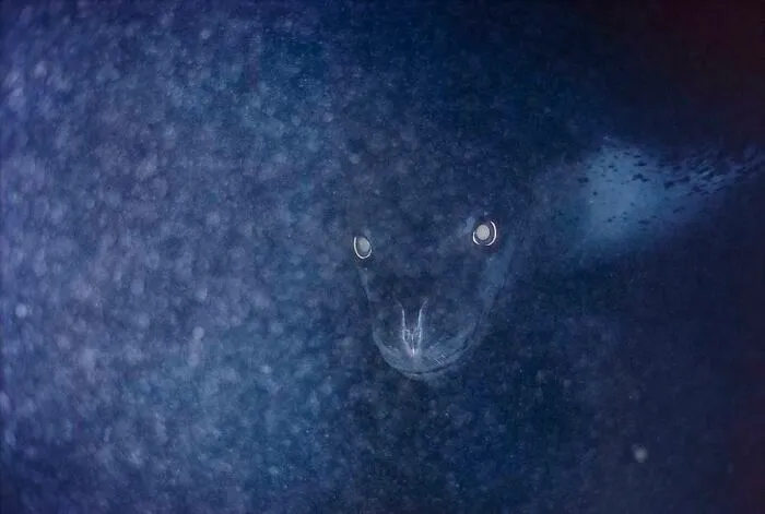 Black water pool with reflective surface resembling deep-water abyss