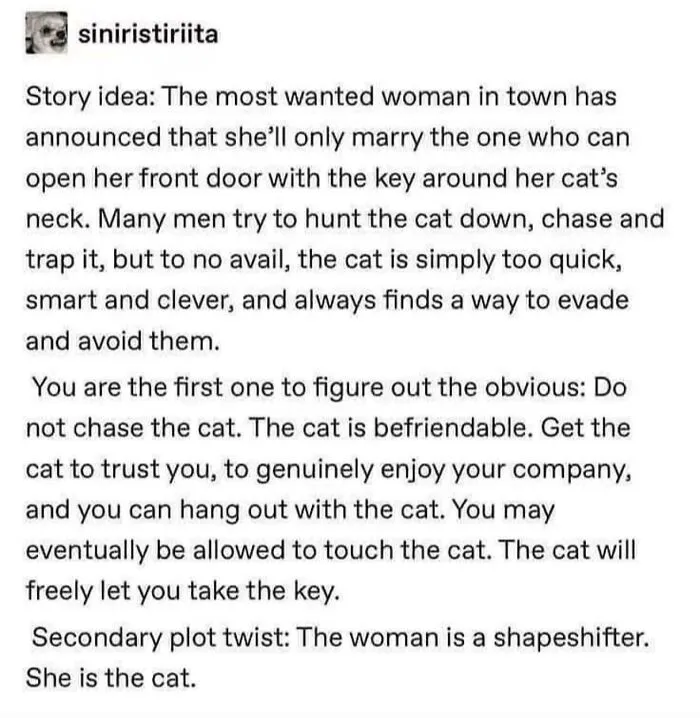 Tumblr story idea about a woman who only marries the one who can get a key from her clever shapeshifting cat