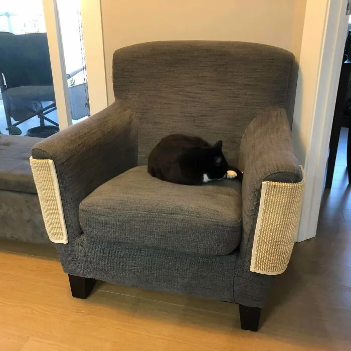 A black cat sleeping on an armchair with scratch-guard protectors on the arms, showing creativity to save money.