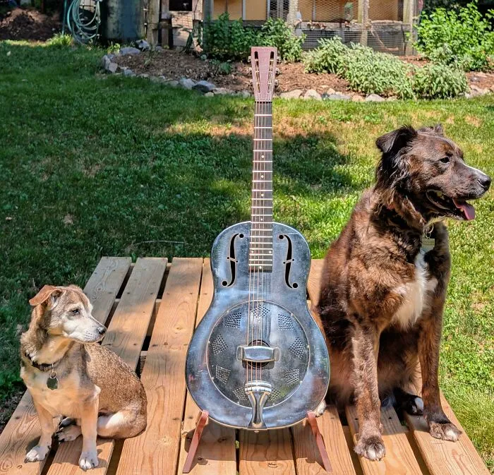 A resonator guitar placed between two dogs outdoors, showing DIY creativity to save money on instrument stands.