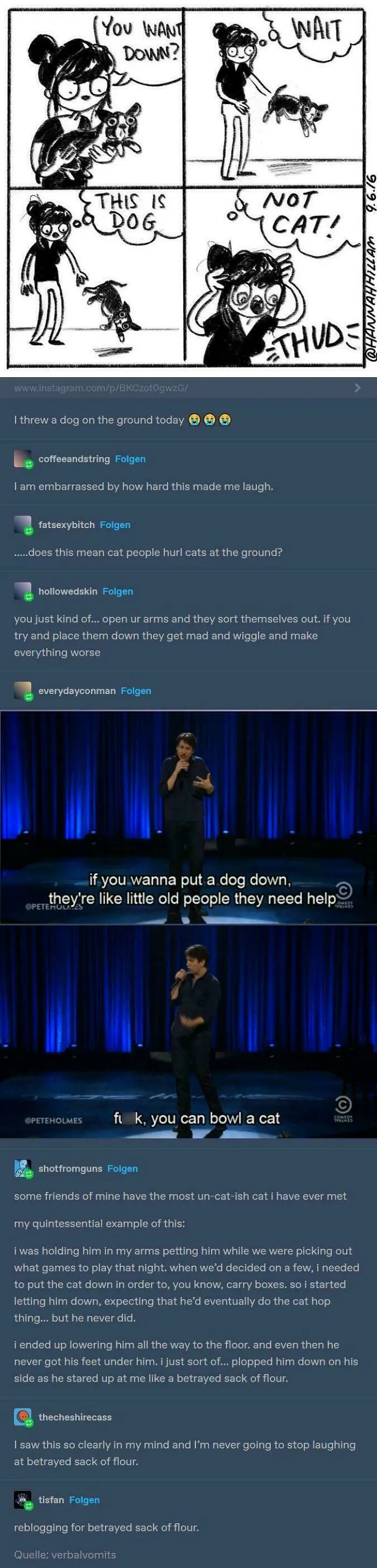 Funny Tumblr comic about throwing a dog down and confusing it with a cat meme