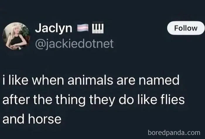 Text post joke about animal names featured in funny weird animal memes compilation.