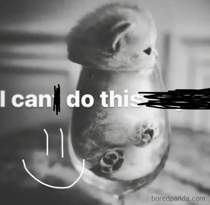 Tiny kitten resting inside a wine glass with motivational text, funny weird animal memes