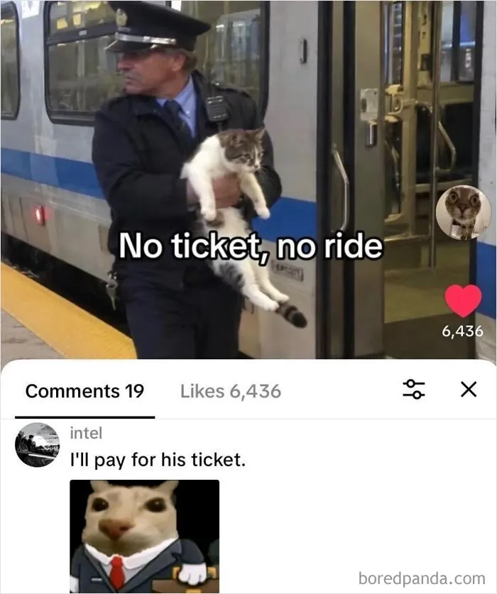 Train conductor holding a cat next to a train door, funny weird animal memes