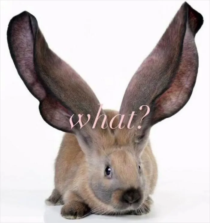 A brown rabbit with oversized ears overlayed with text in funny weird animal memes style.