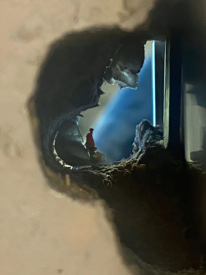 A hole in a wall that creates an illusion like a figure standing in a cave to play tricks on your eyes.