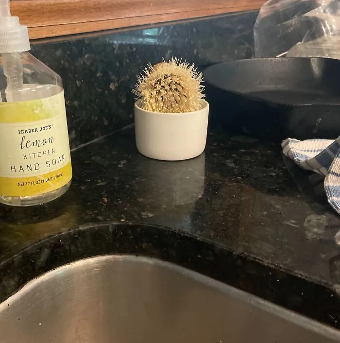 Round dish scrub brush in a container next to hand soap resembling a small potted cactus to make eyes play tricks.