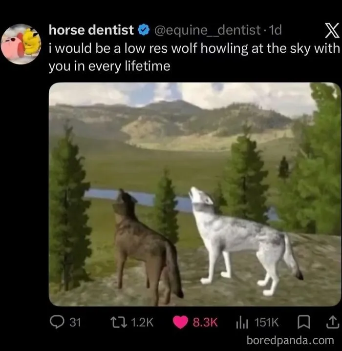 Funny weird animal memes displaying a social media post with low resolution howling wolves.