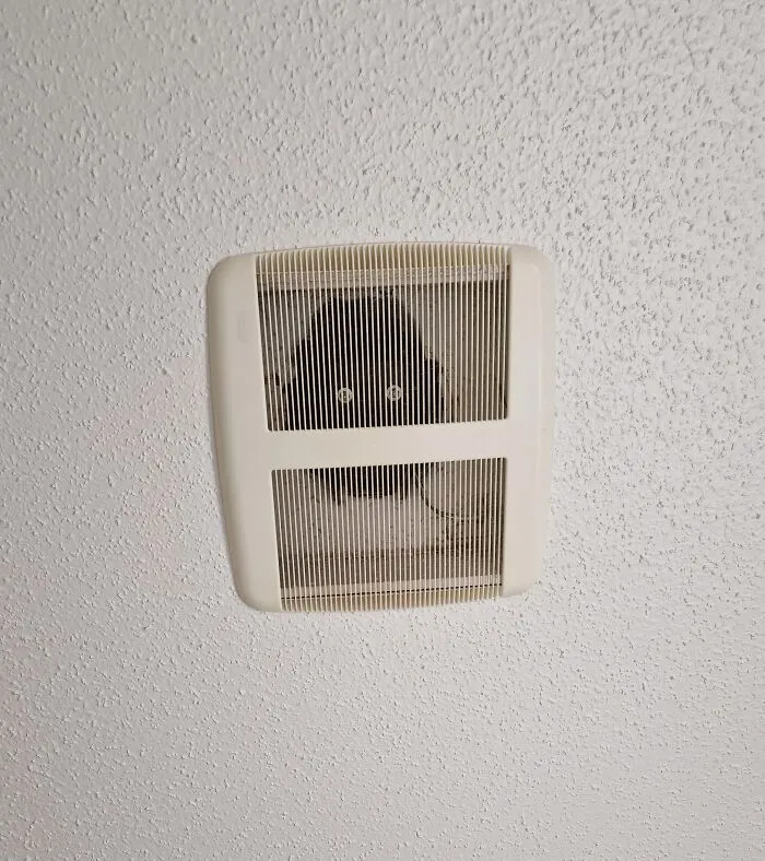 A black cat hiding in a ceiling vent in photos that make you wonder if your eyes are playing tricks on you