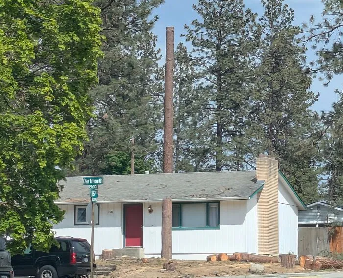 A tree trunk perfectly aligned behind a house making eyes play tricks thinking it goes through.
