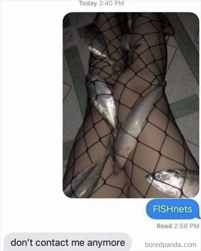 Weird internet memes showing actual fish inside fishnet stockings.