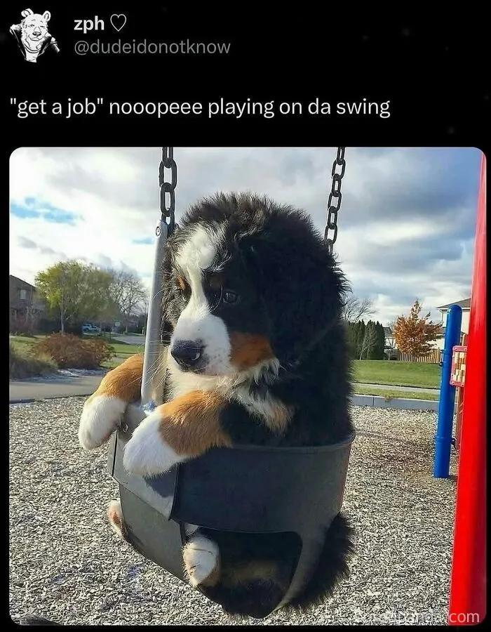 Funny meme of an adorable puppy sitting in a playground swing instead of getting a job.