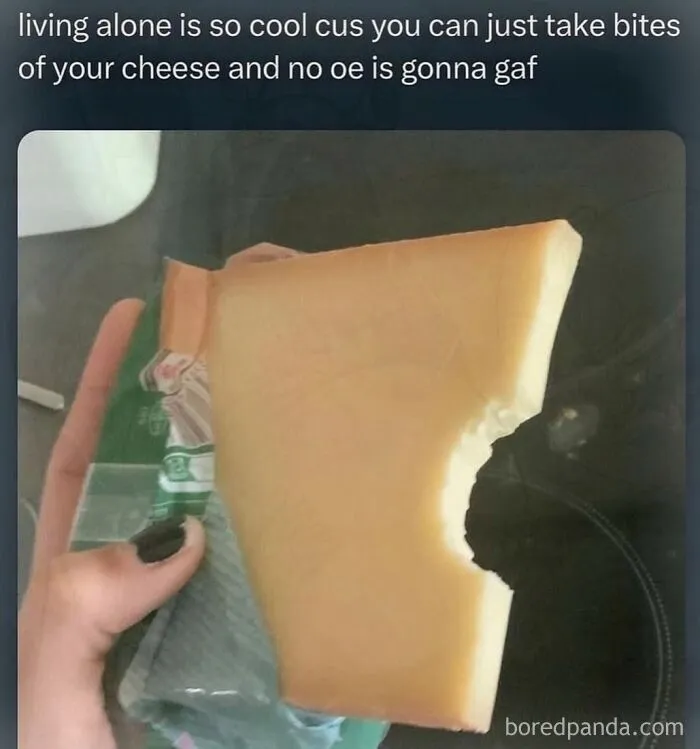 Relatable internet memes featuring a block of cheese with a bite taken out