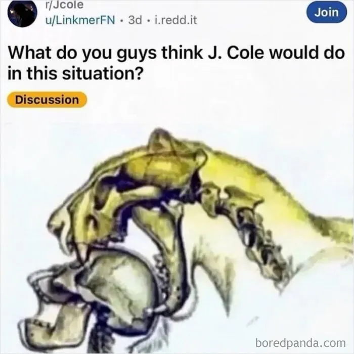 Unusual internet memes featuring a diagram of a predator biting a human head.