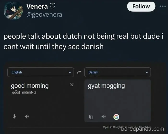 Social media funny meme showing Google Translate translation of good morning into Danish.