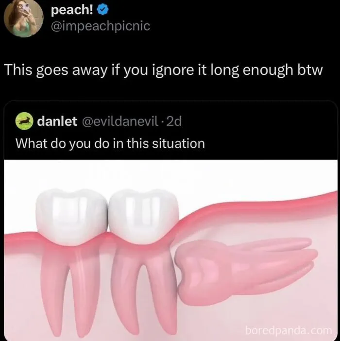 Dental wisdom teeth diagram featured in hilarious internet memes.