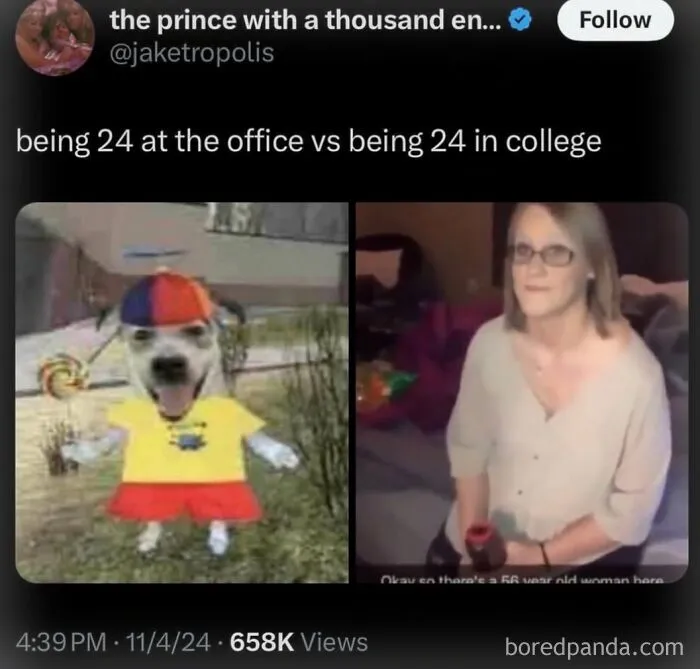 Funny internet memes comparing age 24 in an office versus in college.