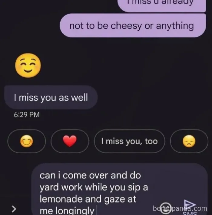 Hilarious internet memes showing a text conversation with a funny romantic proposition about yard work.