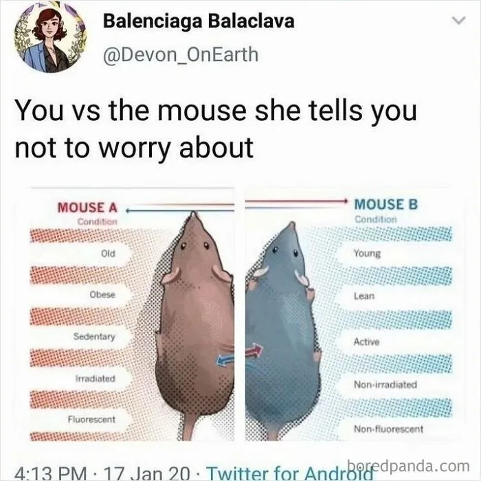 Humorous internet memes displaying a scientific comparison chart between Mouse A and Mouse B.