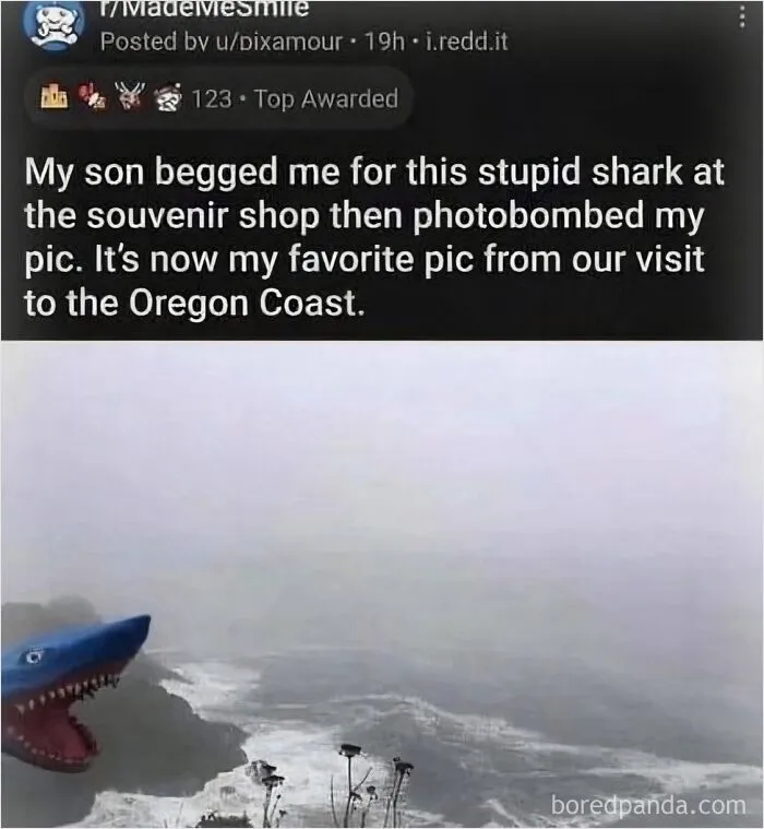 Funny memes social post featuring a blue toy shark photobombing a cloudy Oregon Coast view.