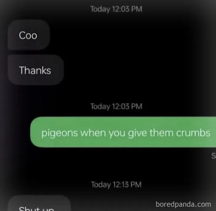 Funny text messages meme comparing a simple reply to a pigeon getting crumbs