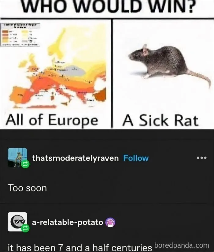 Funny history memes comparison of all of Europe versus a sick rat during the plague era
