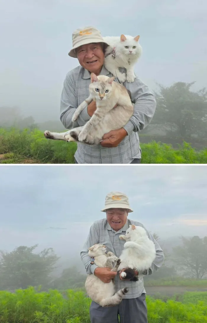 Japanese grandpa holding squirming cats in a foggy landscape photoshoot during a funny moment.