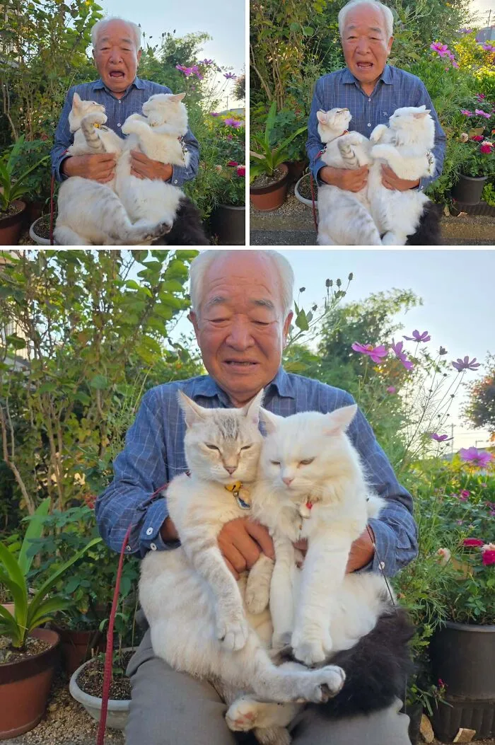 Japanese grandpa sitting outdoors holding his two fluffy cats for a cute photoshoot.