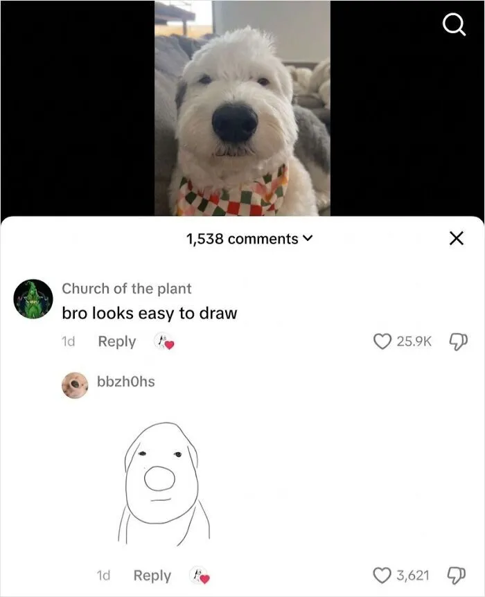 Cute fluffy dog next to a funny user comment and simple doodle, showing a post someone cleverly replied to.