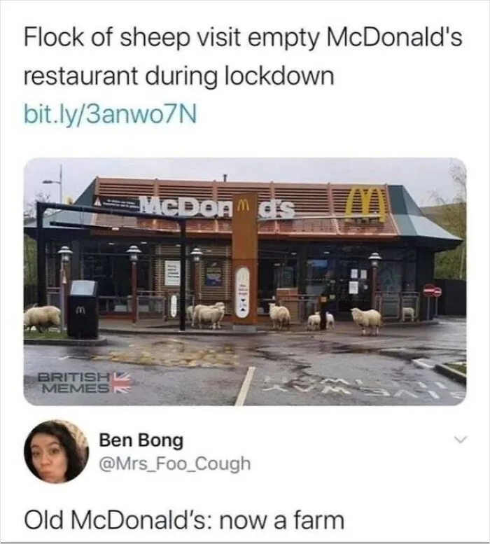 A witty Twitter comment where someone cleverly replied to a post showing sheep outside a McDonald's during lockdown.