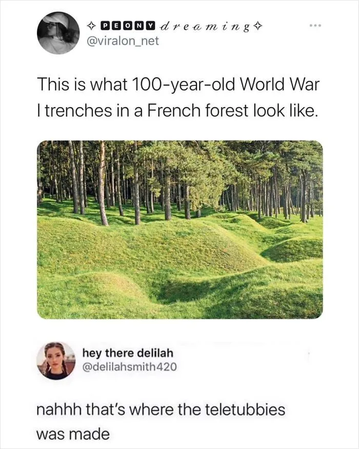 A user replied clever comment comparing WWI trenches to Teletubbies.