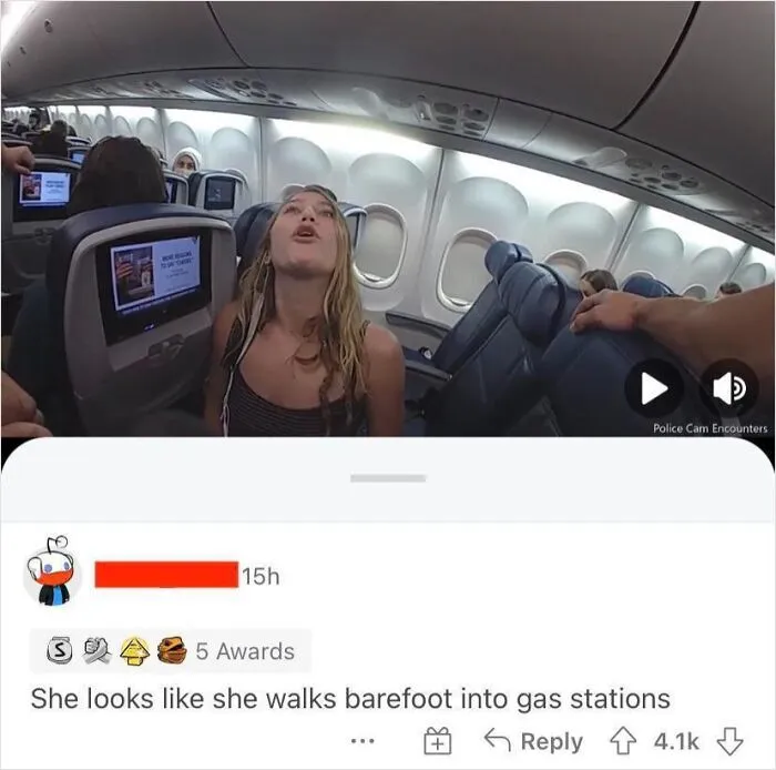 Airplane passenger screenshot with a funny comment where someone cleverly replied to a post.