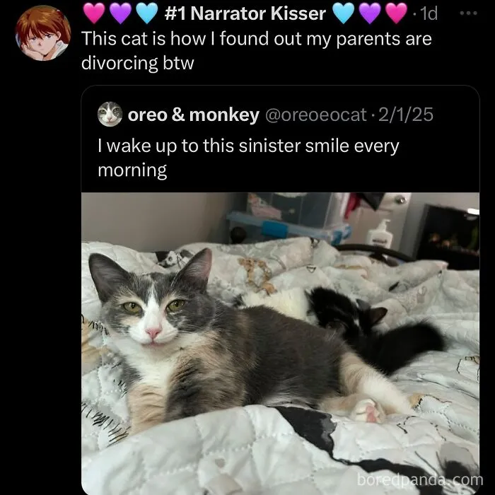 63 Memes That Need Absolutely Zero Context To Be Funny