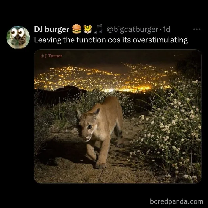 63 Memes That Need Absolutely Zero Context To Be Funny
