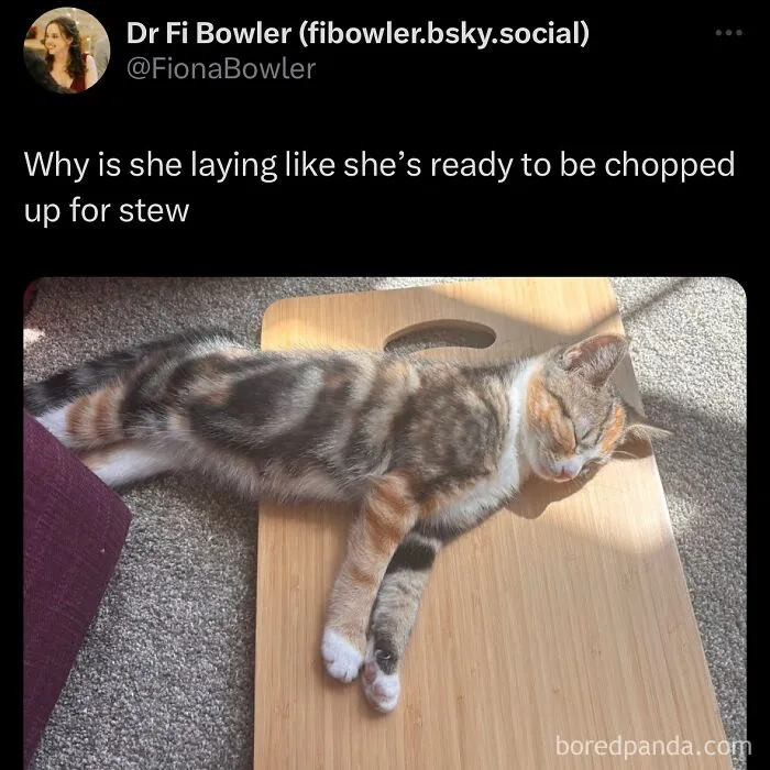 63 Memes That Need Absolutely Zero Context To Be Funny
