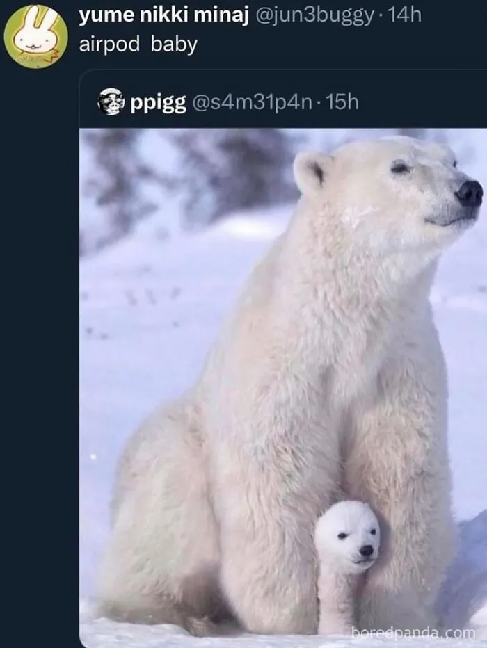 63 Memes That Need Absolutely Zero Context To Be Funny