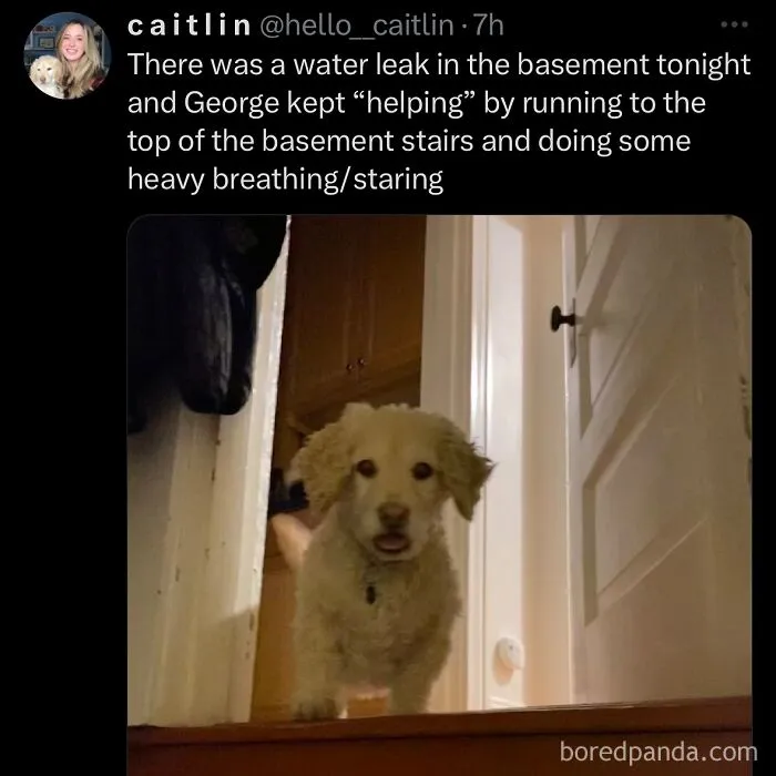 63 Memes That Need Absolutely Zero Context To Be Funny