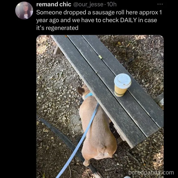 funny-out-of-context-posts