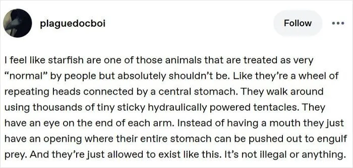 Funny and random posts from Tumblr about starfish biology.