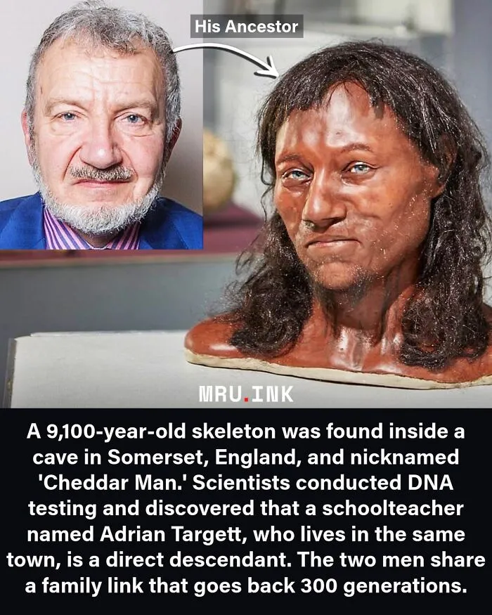 Side-by-side photo of Cheddar Man reconstruction and descendant, showcasing fascinating photos and facts.