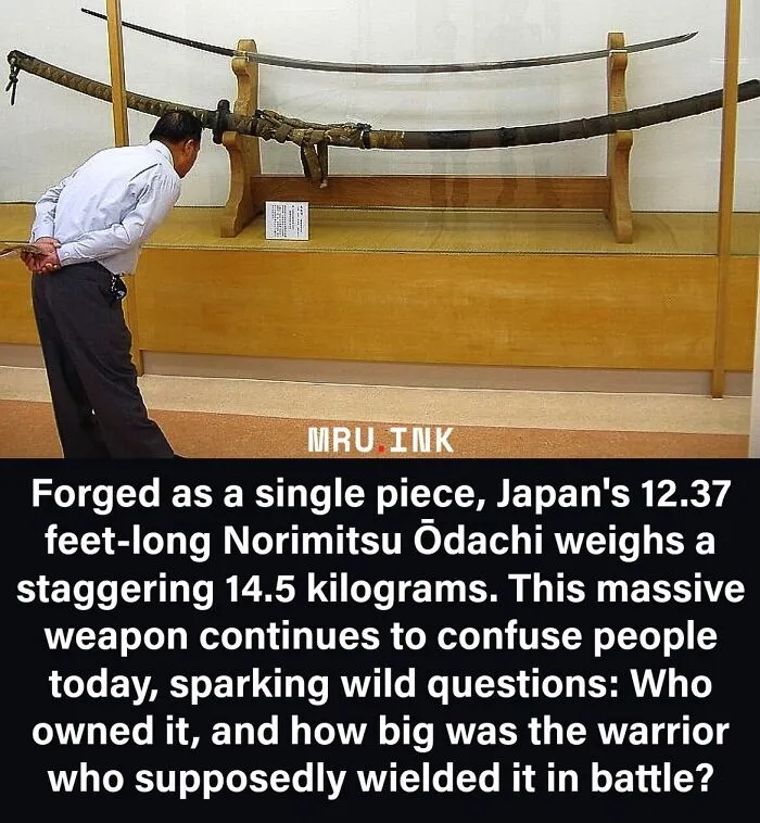 A man looking at a massive Japanese Odachi sword, revealing fascinating facts about history