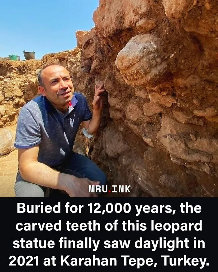 An archaeologist examining an ancient carved leopard statue showing fascinating photos of a strange world discovery.