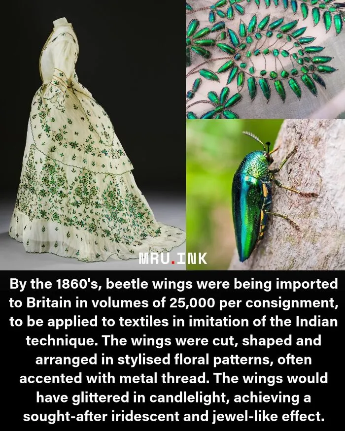 A dress decorated with iridescent beetle wings highlighting how strange the world can be.
