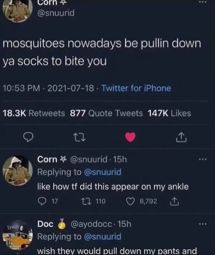 Humorous text screenshots featuring social media posts about mosquitoes biting under socks.