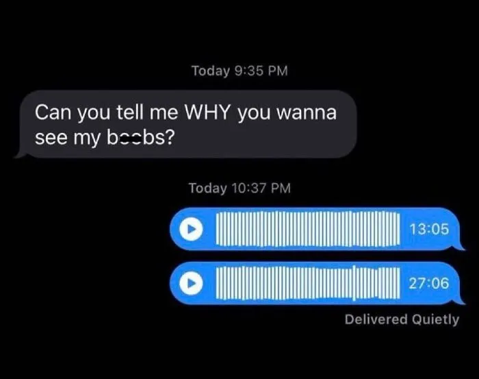 Awkward text screenshot showing a question about sending pictures followed by two extremely long voice notes.