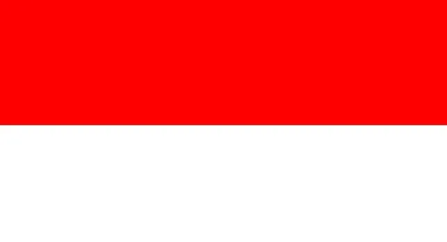 Flag of Monaco featuring equal horizontal bands of red over white, an example of similar flags.