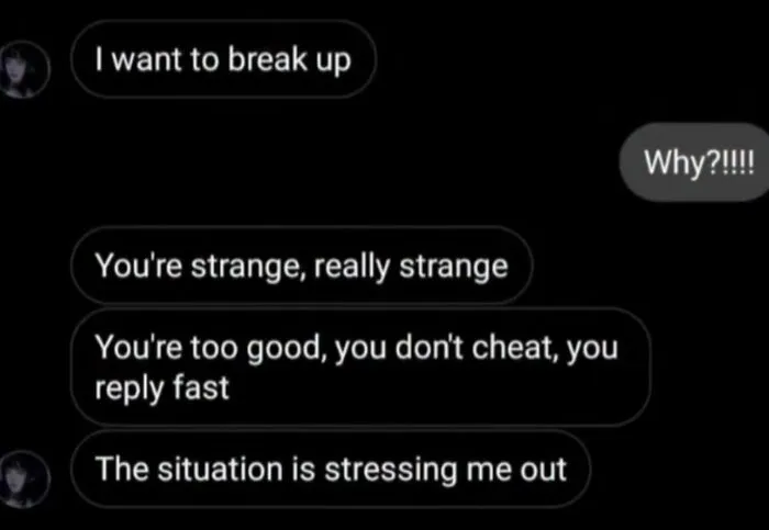 Awkward text screenshot of someone breaking up because their partner is too good