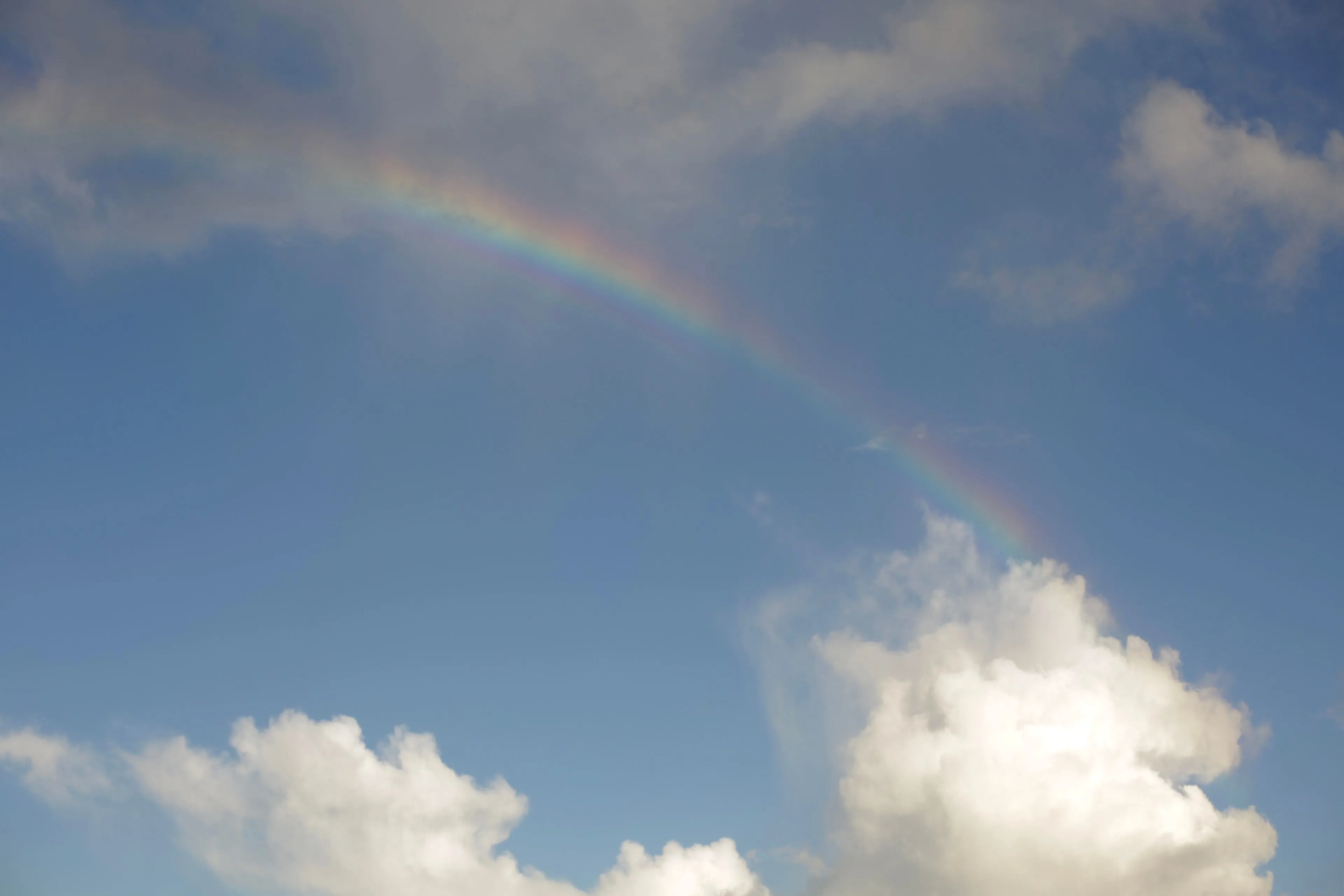 A vibrant rainbow spanning across a blue sky with fluffy white clouds, testing general knowledge about colors.