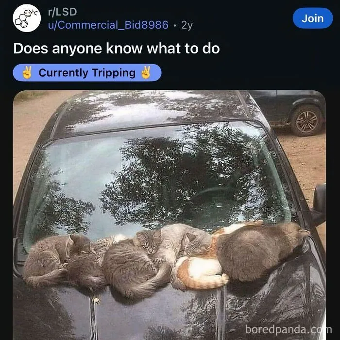 63 Memes That Need Absolutely Zero Context To Be Funny