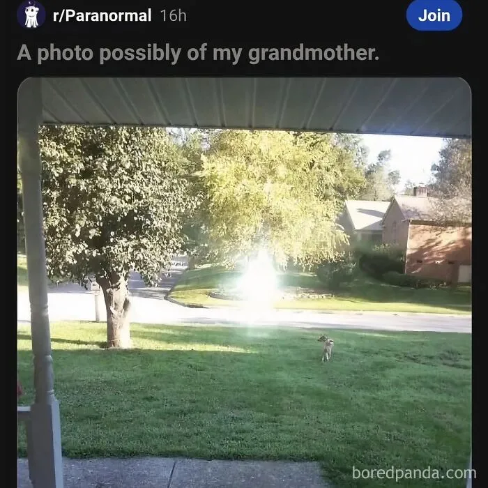 63 Memes That Need Absolutely Zero Context To Be Funny